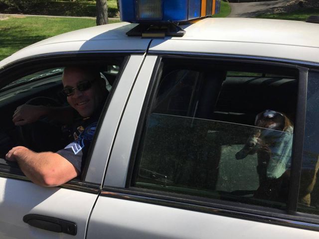 morning picdump 53 pics 22.html - 53 HD Photos | Premium Gallery 2015