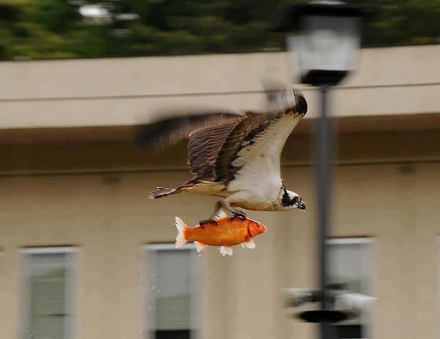 morning picdump 53 pics 22.html - 53 HD Photos | Premium Gallery 2015