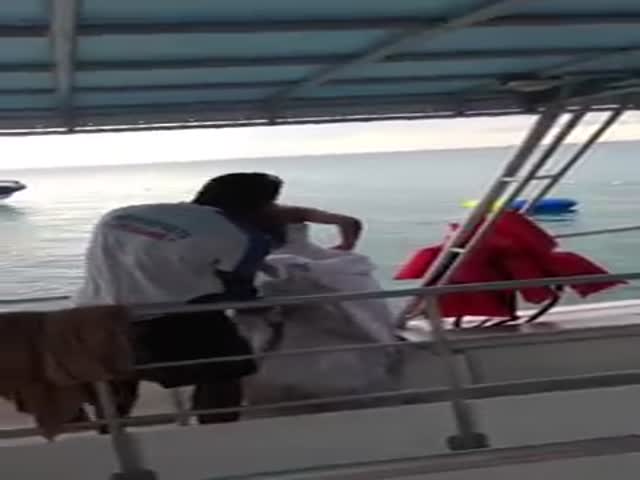 page,6,top 500 videos of the year 2015.html - 1 HD Video | Premium Gallery 2015