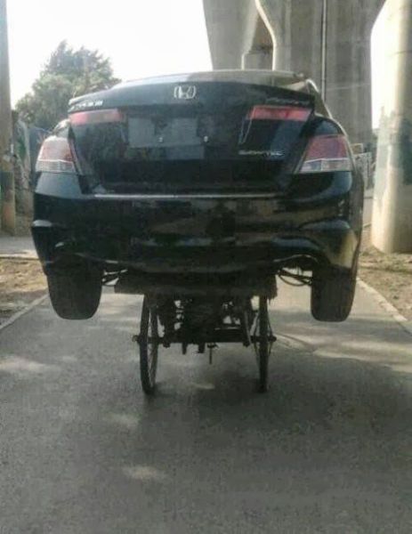 The Weird Stuff You Will Only See in Asia