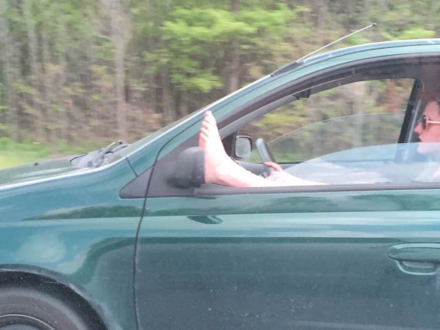 Morning Picdump