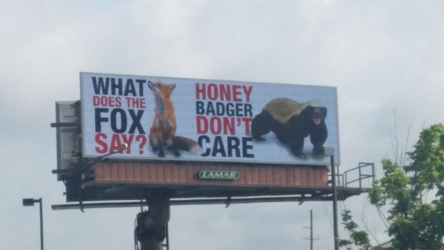 morning picdump 54 pics 18.html - 54 HD Photos | Premium Gallery 2015