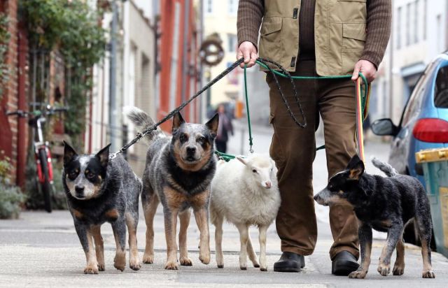 daily picdump 90 pics 38.html - 90 HD Photos | Premium Gallery 2015