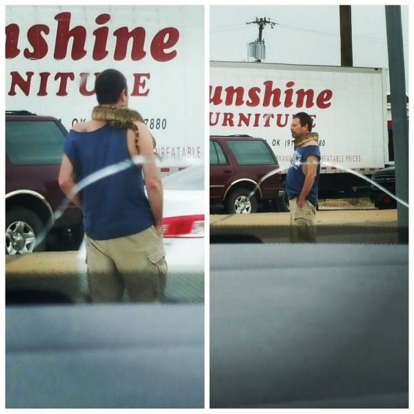 daily picdump 90 pics 38.html - 90 HD Photos | Premium Gallery 2015