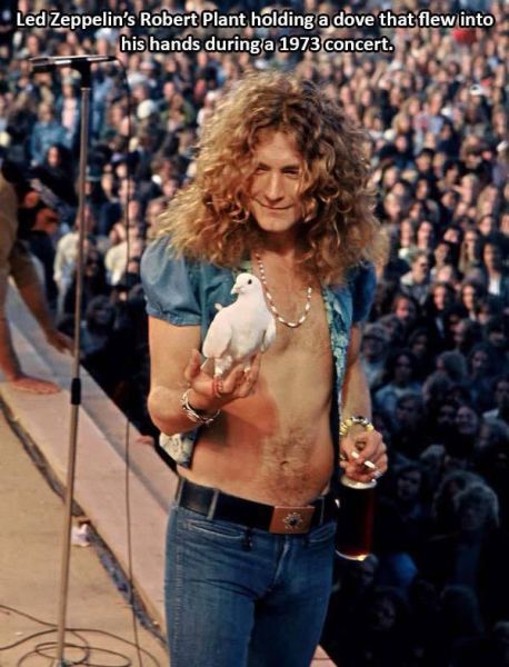 daily picdump 90 pics 38.html - 90 HD Photos | Premium Gallery 2015