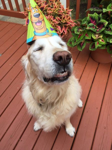 daily picdump 90 pics 38.html - 90 HD Photos | Premium Gallery 2015