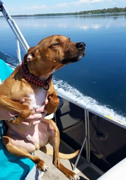 daily picdump 90 pics 38.html - 90 HD Photos | Premium Gallery 2015