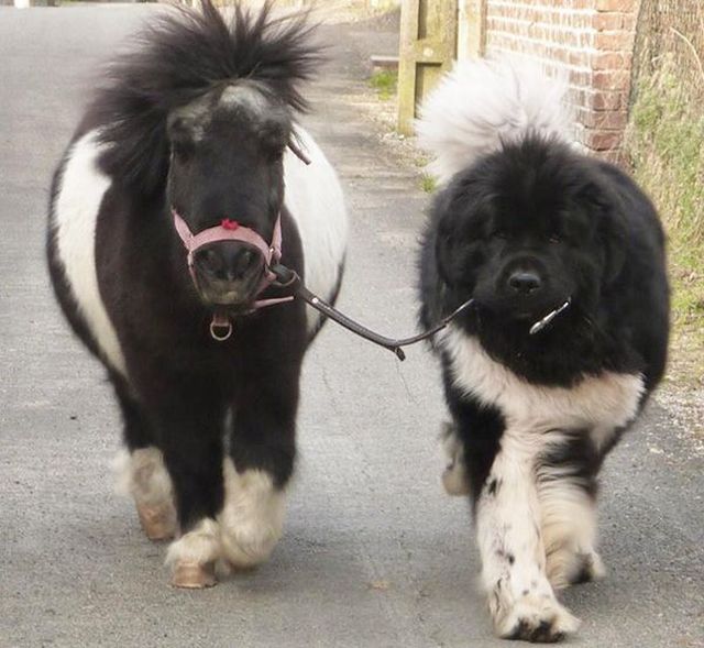 daily picdump 90 pics 38.html - 90 HD Photos | Premium Gallery 2015