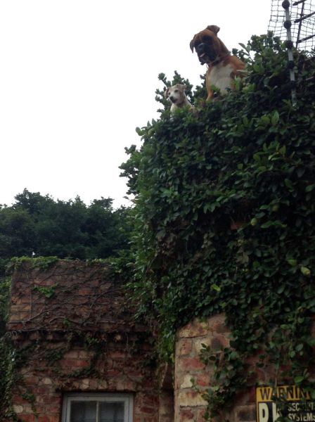 daily picdump 90 pics 38.html - 90 HD Photos | Premium Gallery 2015