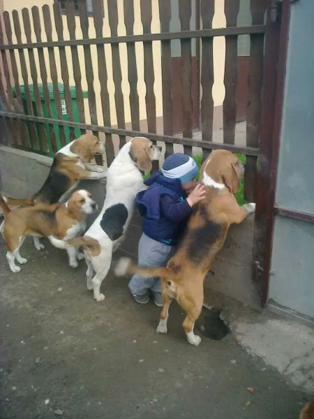 morning picdump 52 pics 17.html - 52 HD Photos | Premium Gallery 2015