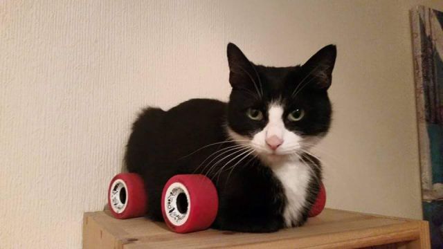 morning picdump 52 pics 17.html - 52 HD Photos | Premium Gallery 2015