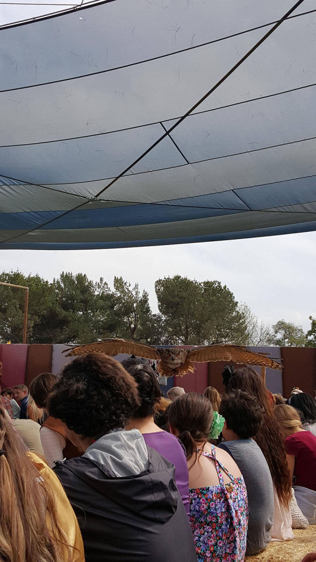 morning picdump 52 pics 17.html - 52 HD Photos | Premium Gallery 2015