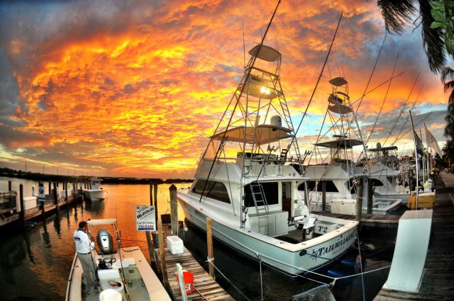 morning picdump 53 pics 26.html - 53 HD Photos | Premium Gallery 2015