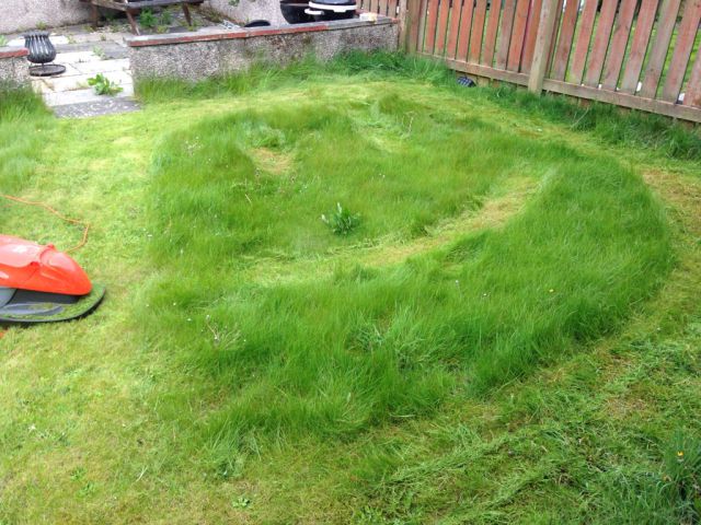 morning picdump 53 pics 26.html - 53 HD Photos | Premium Gallery 2015