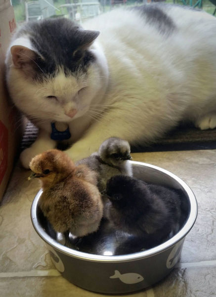 morning picdump 53 pics 26.html - 53 HD Photos | Premium Gallery 2015