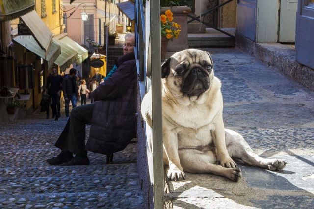 morning picdump 53 pics 26.html - 53 HD Photos | Premium Gallery 2015