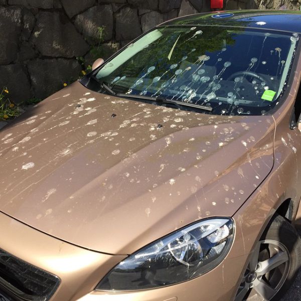 morning picdump 53 pics 26.html - 53 HD Photos | Premium Gallery 2015