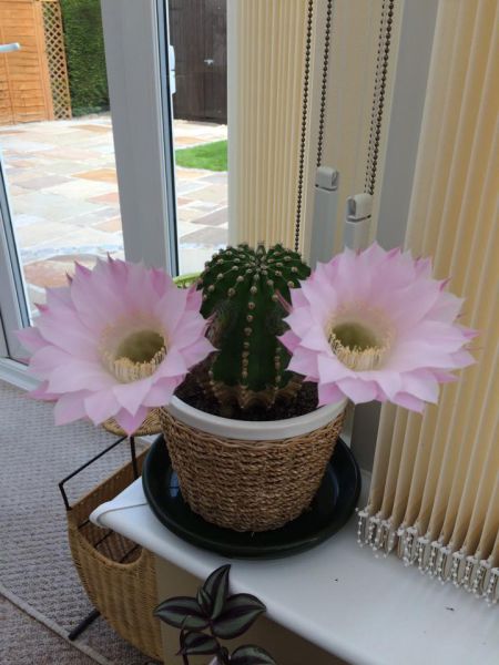 morning picdump 53 pics 26.html - 53 HD Photos | Premium Gallery 2015