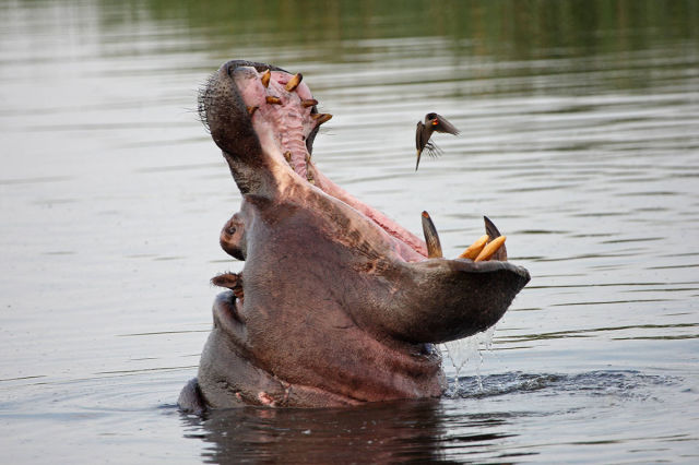 morning picdump 53 pics 27.html - 53 HD Photos | Premium Gallery 2015