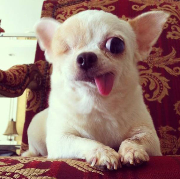 morning picdump 53 pics 27.html - 53 HD Photos | Premium Gallery 2015