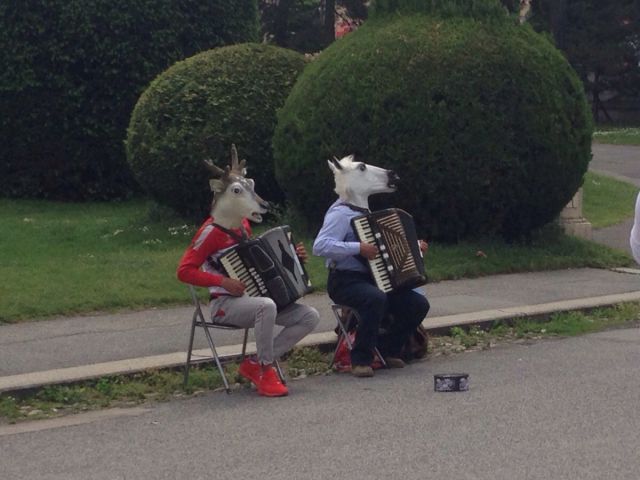 morning picdump 51 pics 26.html - 51 HD Photos | Premium Gallery 2015