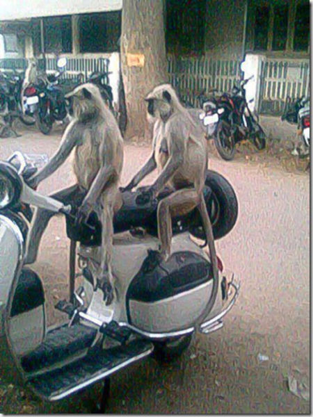 morning picdump 51 pics 26.html - 51 HD Photos | Premium Gallery 2015