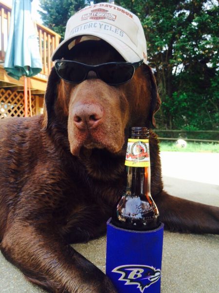 morning picdump 51 pics 26.html - 51 HD Photos | Premium Gallery 2015