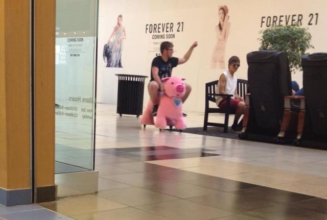 Morning Picdump