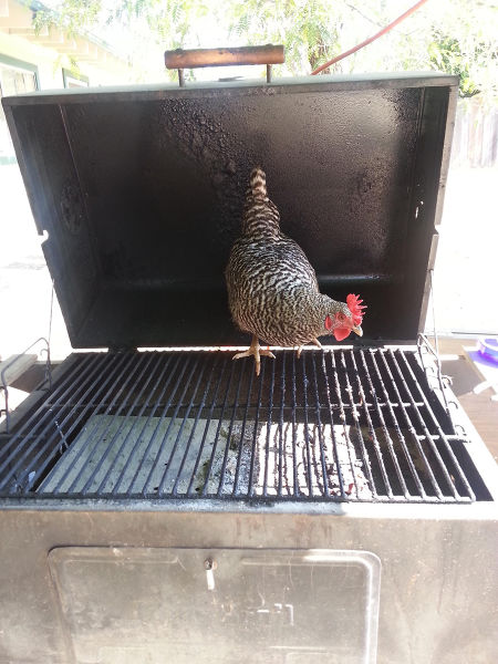 morning picdump 54 pics 12.html - 54 HD Photos | Premium Gallery 2015