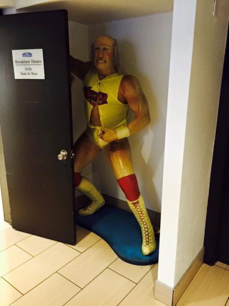 Morning Picdump