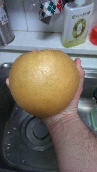 Morning Picdump