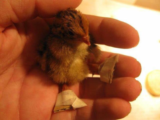 Morning Picdump