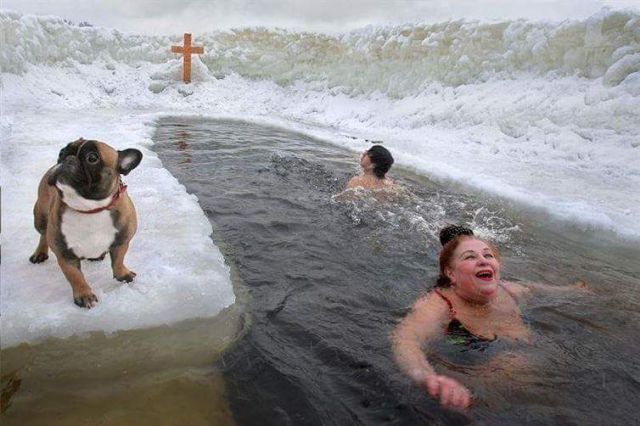 morning picdump 54 pics 20.html - 54 HD Photos | Premium Gallery 2015