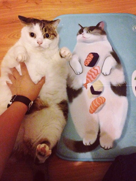 morning picdump 54 pics 20.html - 54 HD Photos | Premium Gallery 2015