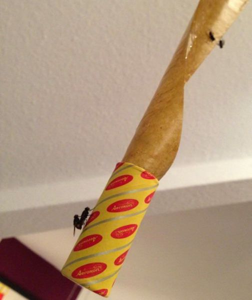 daily picdump weekend edition 81 pics 32.html - 81 HD Photos | Premium Gallery 2015