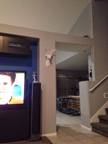 daily picdump weekend edition 81 pics 32.html - 81 HD Photos | Premium Gallery 2015