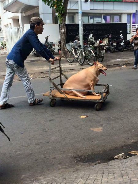 Morning Picdump