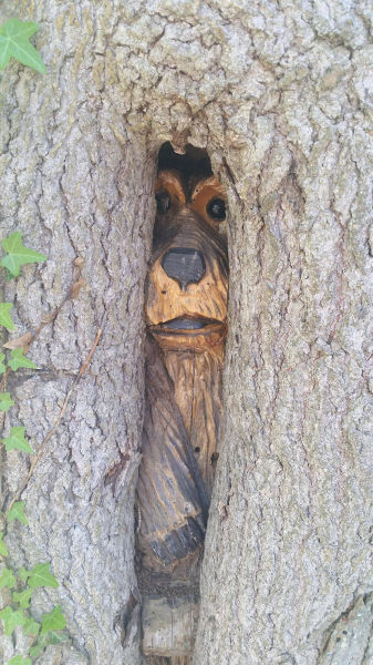 Morning Picdump