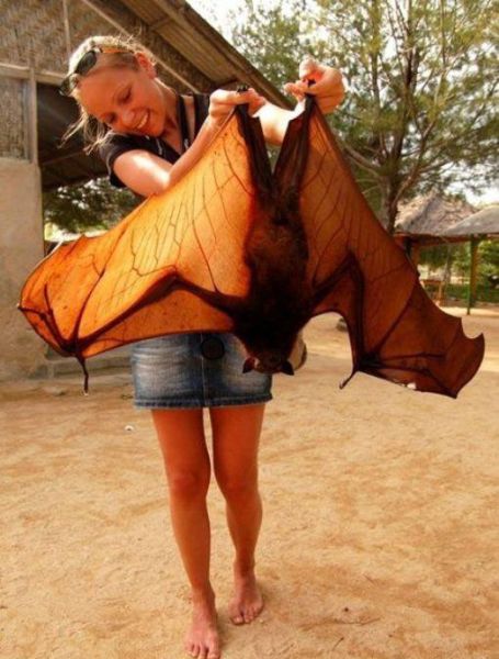 morning picdump 57 pics 16.html - 57 HD Photos | Premium Gallery 2015