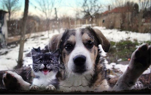 morning picdump 57 pics 16.html - 57 HD Photos | Premium Gallery 2015
