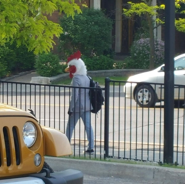 Morning Picdump