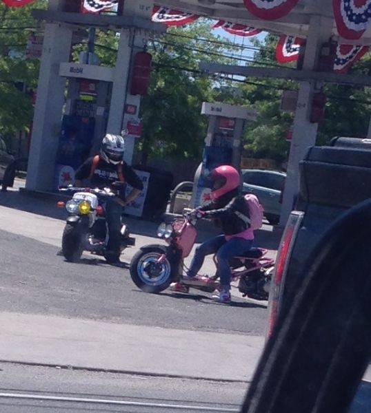 morning picdump 52 pics 17.html - 52 HD Photos | Premium Gallery 2015