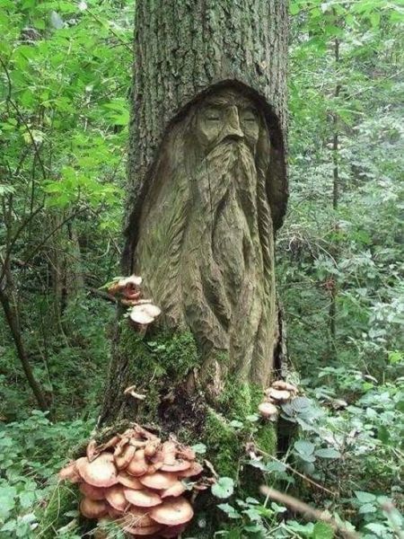 morning picdump 52 pics 17.html - 52 HD Photos | Premium Gallery 2015