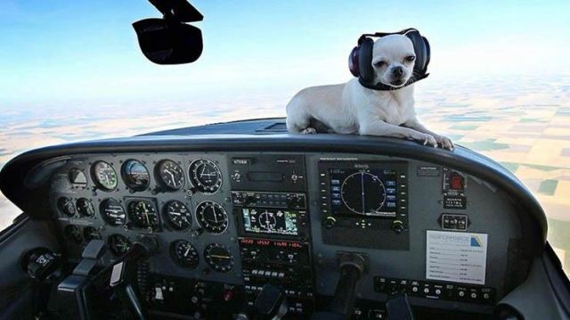 morning picdump 52 pics 10.html - 52 HD Photos | Premium Gallery 2015