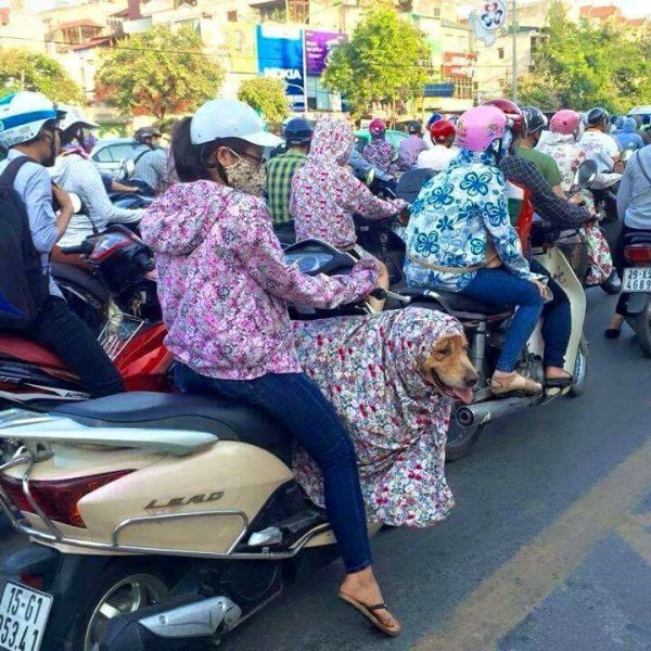 morning picdump 52 pics 10.html - 52 HD Photos | Premium Gallery 2015