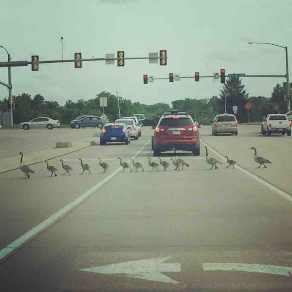 morning picdump 52 pics 10.html - 52 HD Photos | Premium Gallery 2015