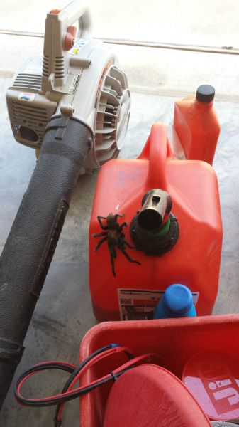 morning picdump 52 pics 10.html - 52 HD Photos | Premium Gallery 2015