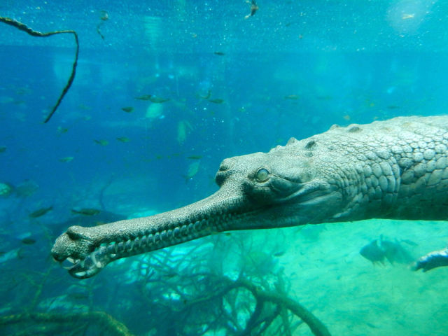 morning picdump 52 pics 10.html - 52 HD Photos | Premium Gallery 2015