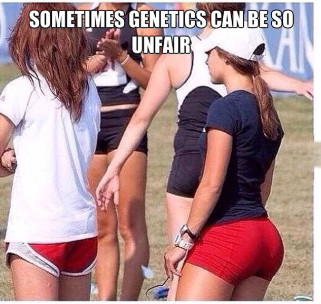 page,3,top 450 funny pics of the year 2015.html - 1 HD Photos | Premium Gallery 2015