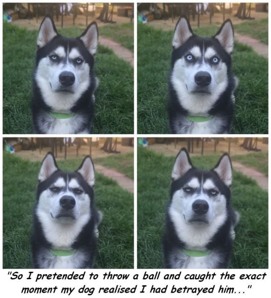 page,37,top 1500 daily pics of the year 2015.html - 1 HD Photos | Premium Gallery 2015